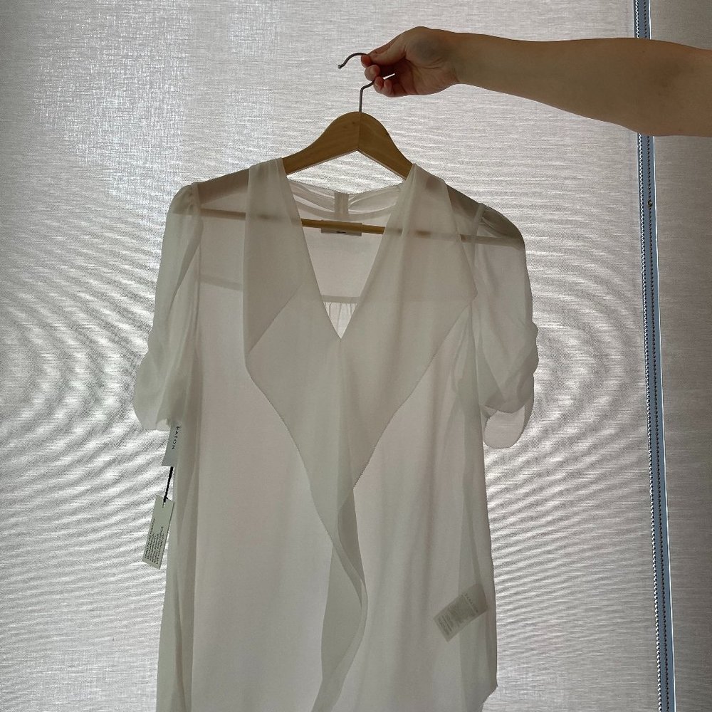 Aritzia Babaton Sheer Blouse (new w/ tags)